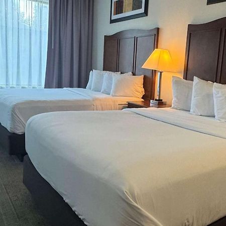 Best Western Plus Hannaford Inn & Suites Kenwood Eksteriør billede